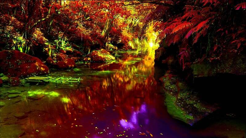 Autumn Forest Stream — Red, Dramatic