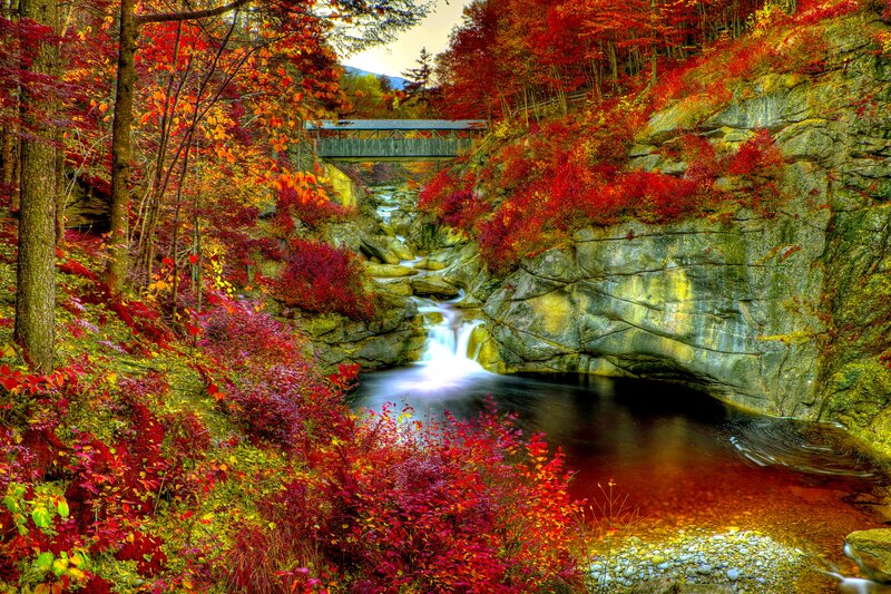 Autumn Forest Stream — Red, Serene, Photograph, Bridge