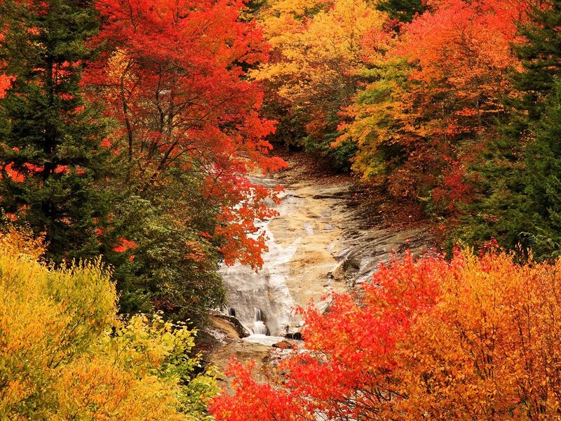 Autumn Forest Stream — Red, Serene, Photograph, Trees, Fall Foliage
