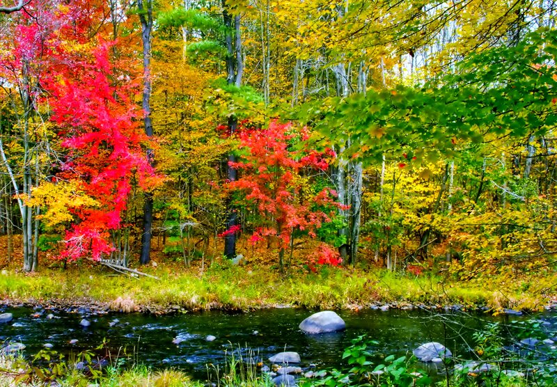 Autumn Forest Stream — Red, Serene, Photograph, Trees, River, Rocks