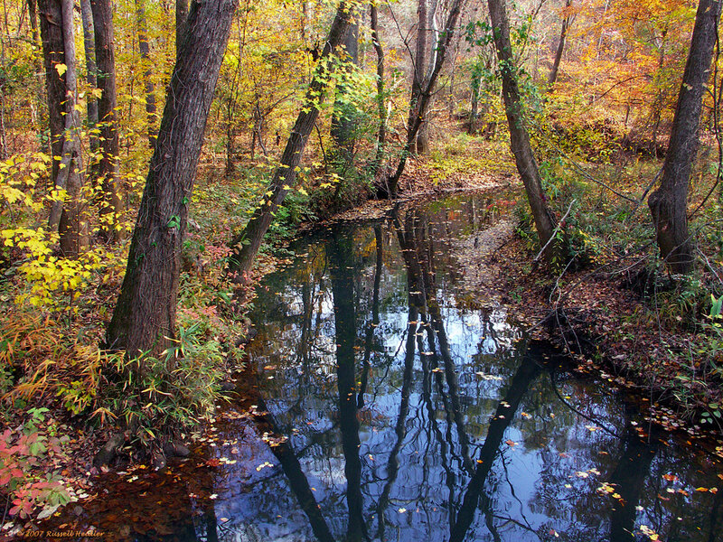 Autumn forest stream reflection