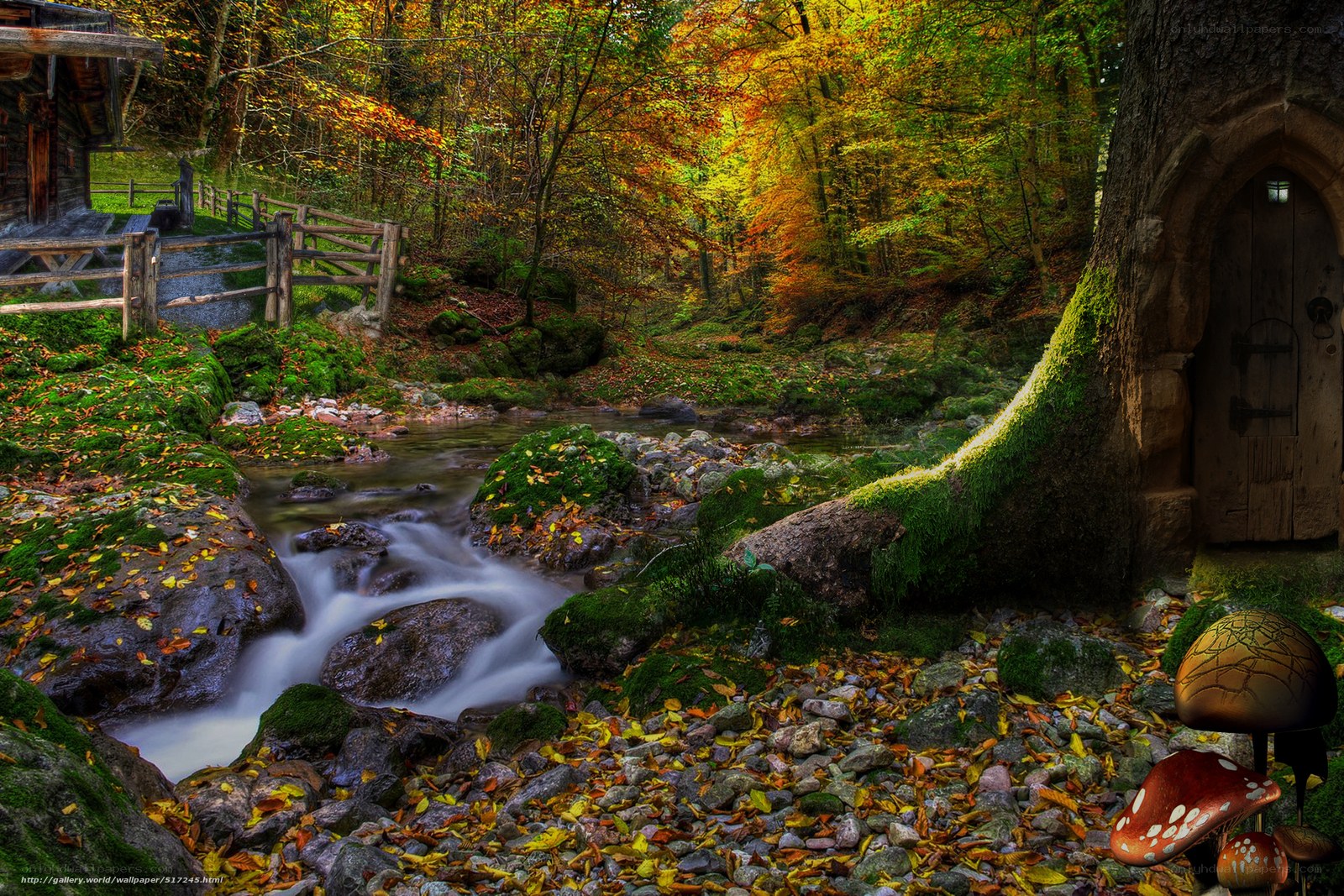 Autumn forest stream scene