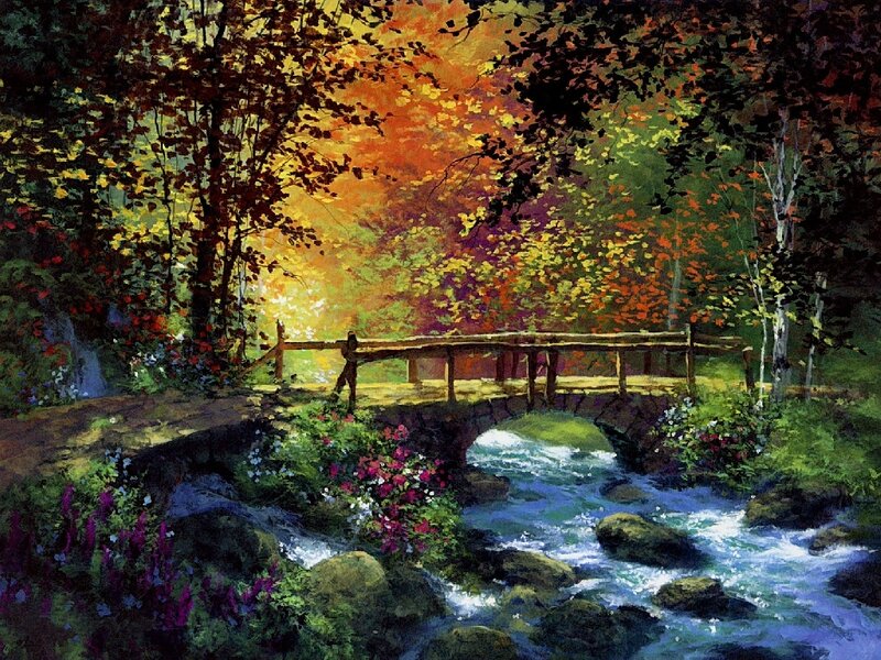 Autumn forest stream scene