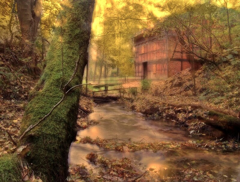Autumn forest stream with old mill