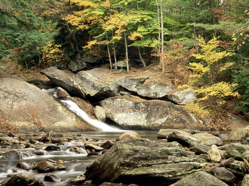 Autumn forest stream with waterfall