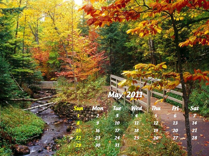 Autumn Forest Stream — Yellow, Serene, Photograph, Bridge