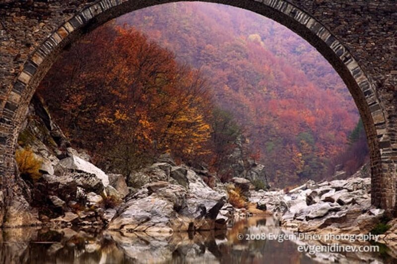 Autumn forest through stone arch