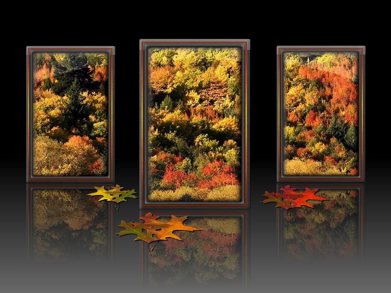 Autumn forest triptych