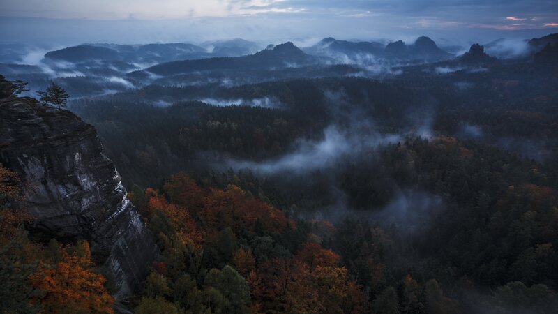 Autumn Forest Valley — Blue, Misty