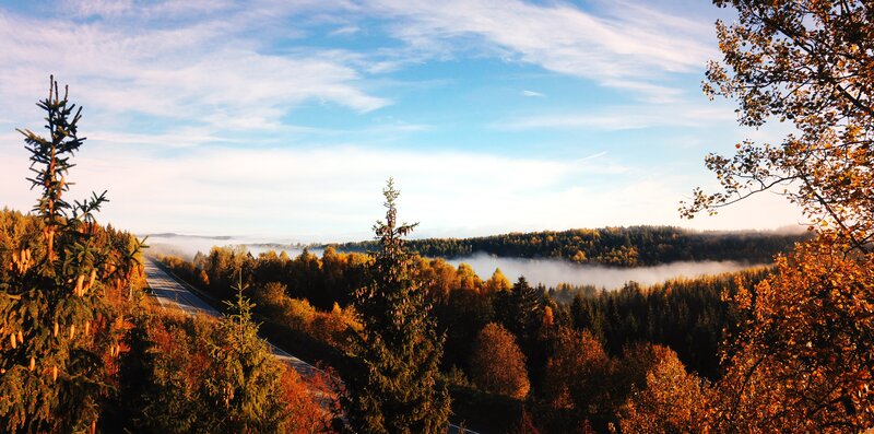 Autumn Forest Valley — Blue, Serene, Morning