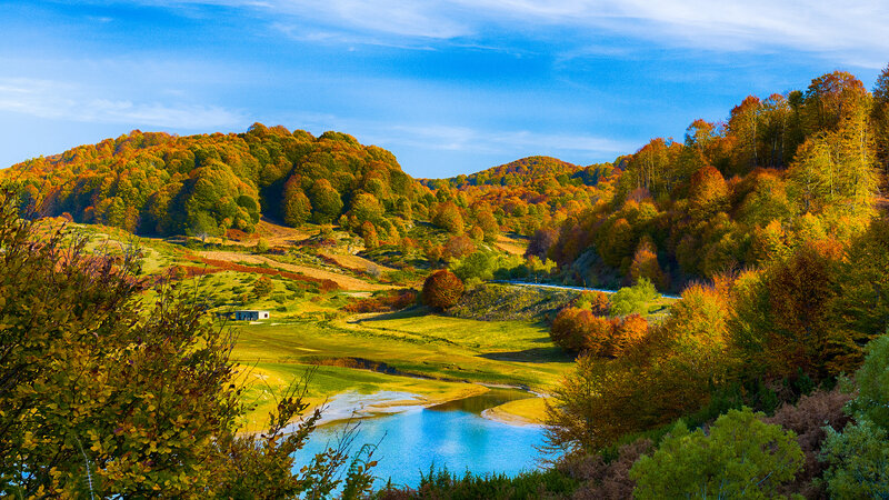 Autumn Forest Valley — Blue, Serene, Photograph