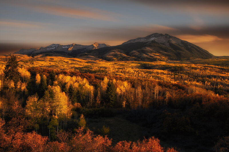Autumn Forest Valley — Gold