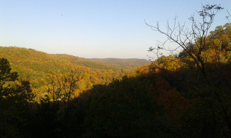 Autumn Forest Valley — Green, Serene, Afternoon
