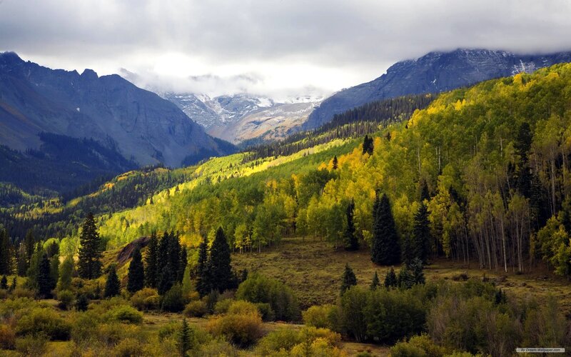 Autumn Forest Valley — Green, Serene, Photograph, Mountains, Trees, Clouds