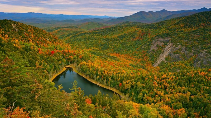 Autumn Forest Valley — Green, Serene, Photograph, River