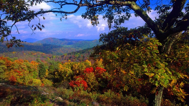 Autumn Forest Valley — Green, Serene, Photograph, Trees, Mountains, Sky, Red, Blue