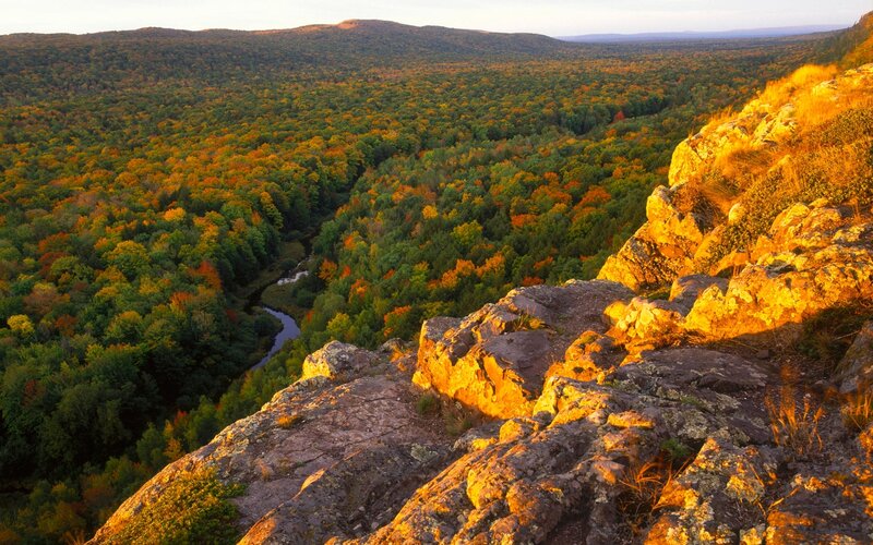 Autumn Forest Valley — Green, Serene, Sunset, Photograph