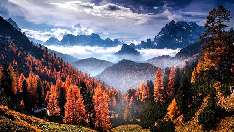 Autumn Forest Valley — Orange, Dramatic, Photograph, Mountains, Clouds