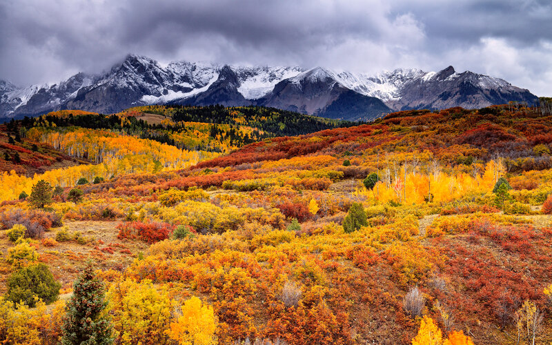 Autumn Forest Valley — Orange, Dramatic, Photograph, Mountains, Snow