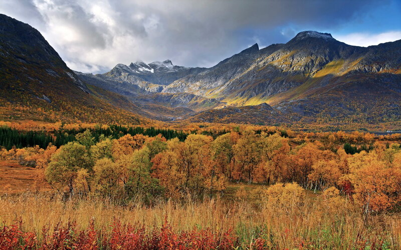 Autumn Forest Valley — Orange, Dramatic, Photograph, Mountains, Trees