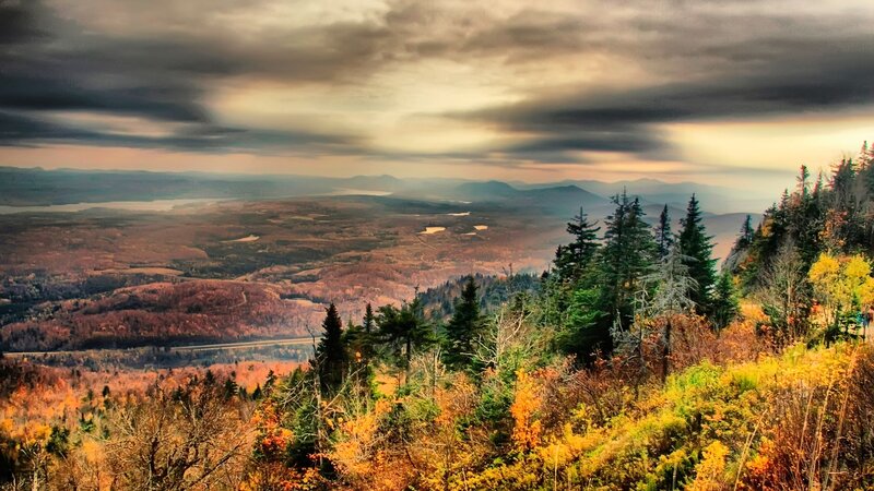 Autumn Forest Valley — Orange, Dramatic, Photograph