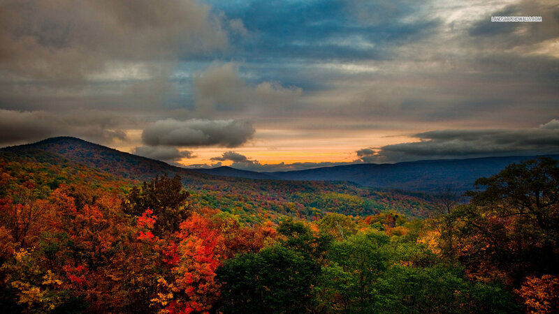 Autumn Forest Valley — Orange, Dramatic, Sunset, Photograph, Mountains