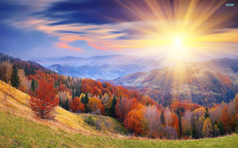 Autumn Forest Valley — Orange, Dramatic, Sunset, Photograph