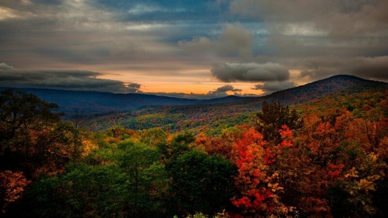 Autumn Forest Valley — Orange, Dramatic, Sunset