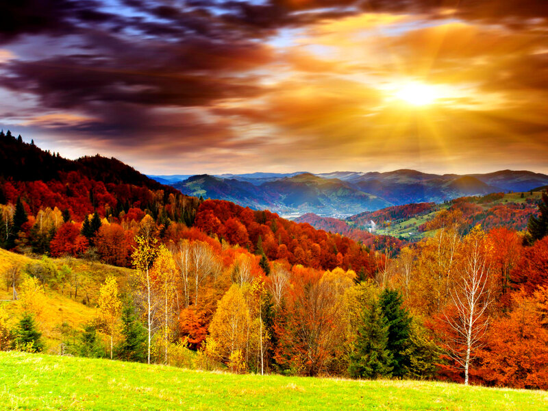 Autumn Forest Valley — Orange, Dramatic