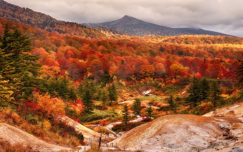 Autumn Forest Valley — Orange, Serene, Photograph, Mountain