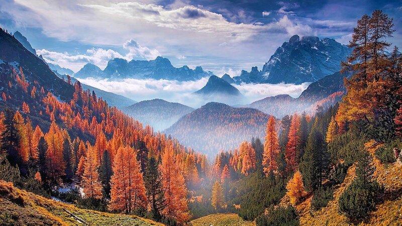 Autumn Forest Valley — Orange, Serene, Photograph, Mountains, Clouds