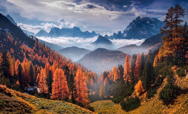 Autumn Forest Valley — Orange, Serene, Photograph, Mountains, Clouds, Trees