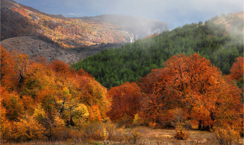 Autumn Forest Valley — Orange, Serene, Photograph, Mountains, Trees