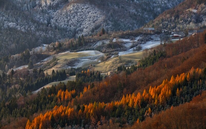 Autumn Forest Valley — Orange, Serene, Photograph, Trees, Hills, Buildings