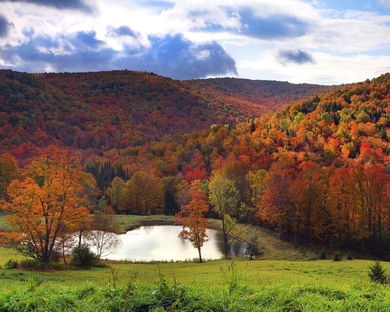 Autumn Forest Valley — Orange, Serene, Photograph, Trees