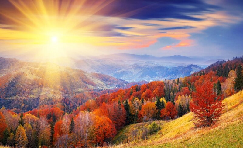 Autumn Forest Valley — Orange, Serene, Sunrise