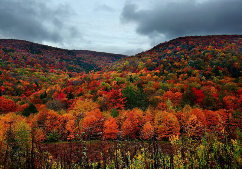Autumn Forest Valley — Red, Dramatic, Photograph, Hills, Trees, Clouds