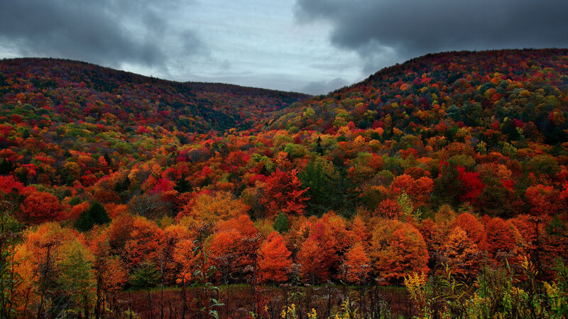 Autumn Forest Valley — Red, Dramatic, Photograph, Hills, Trees, Sky