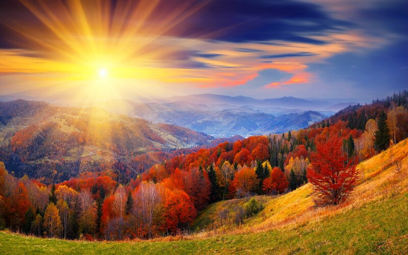 Autumn Forest Valley — Red, Dramatic, Sunrise