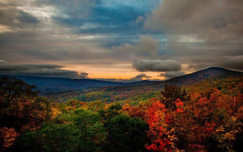 Autumn Forest Valley — Red, Dramatic, Sunset