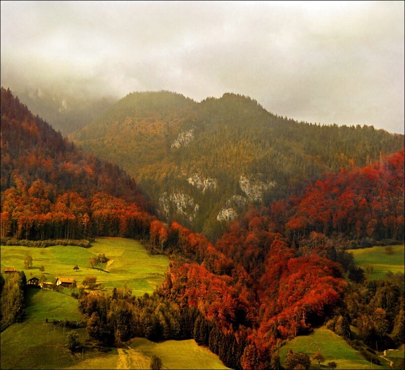 Autumn Forest Valley — Red, Serene, Photograph, Mountains, Forests, Fields