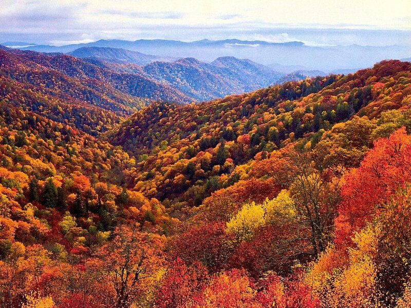 Autumn Forest Valley — Red, Serene, Photograph, Mountains