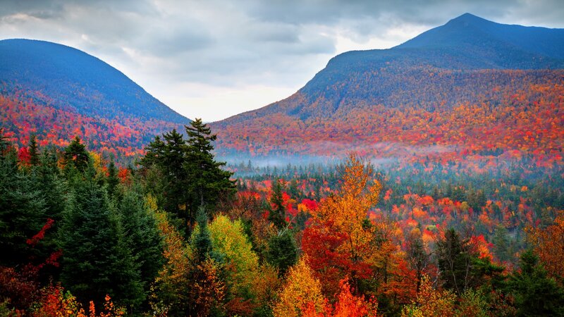 Autumn Forest Valley — Red, Serene, Photograph, Mountains, Trees