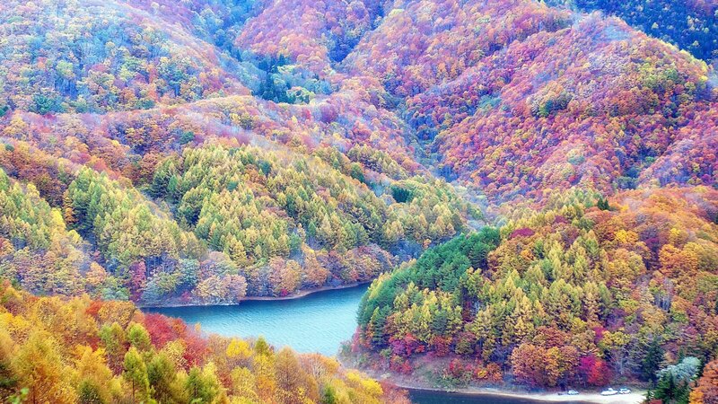 Autumn Forest Valley — Red, Serene, Photograph, River