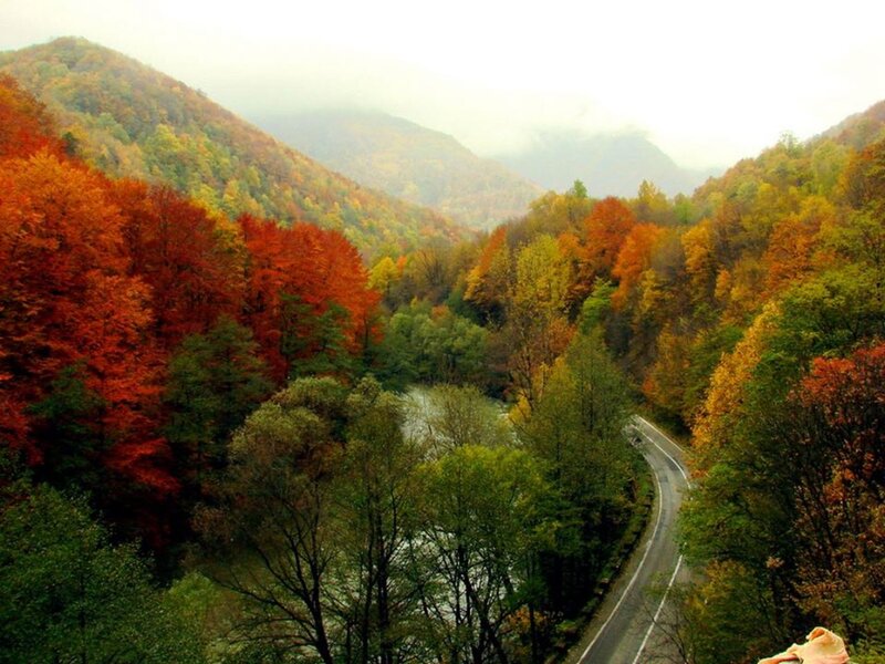 Autumn Forest Valley — Red, Serene, Photograph, Road
