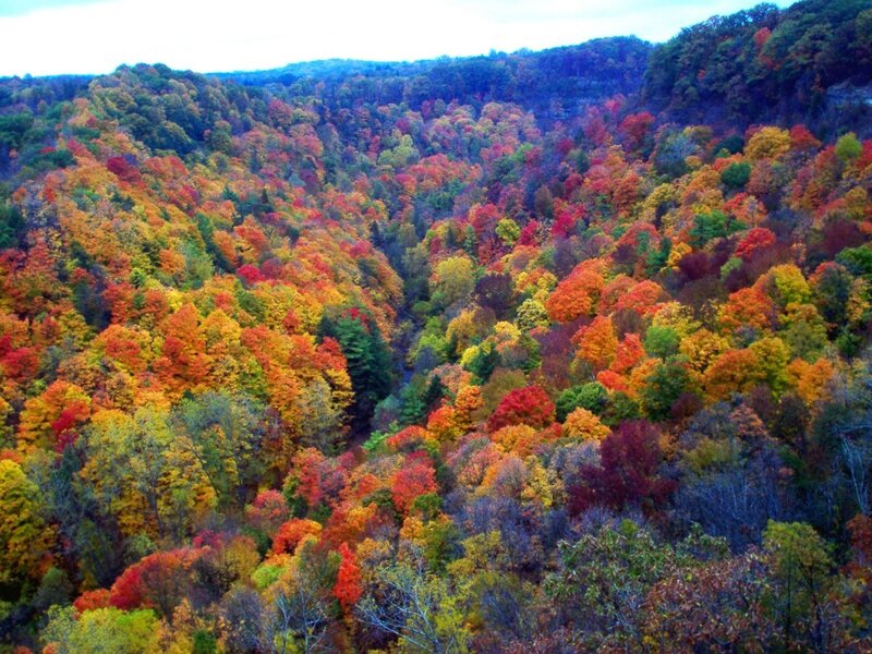 Autumn Forest Valley — Red, Serene, Photograph, Trees, Hills