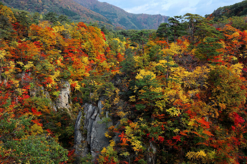Autumn Forest Valley — Red, Serene, Photograph, Trees, Mountains