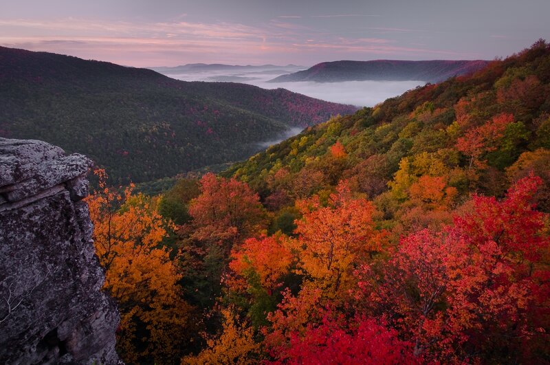 Autumn Forest Valley — Red, Serene, Sunset, Photograph