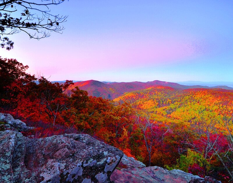 Autumn Forest Valley — Red, Serene, Sunset