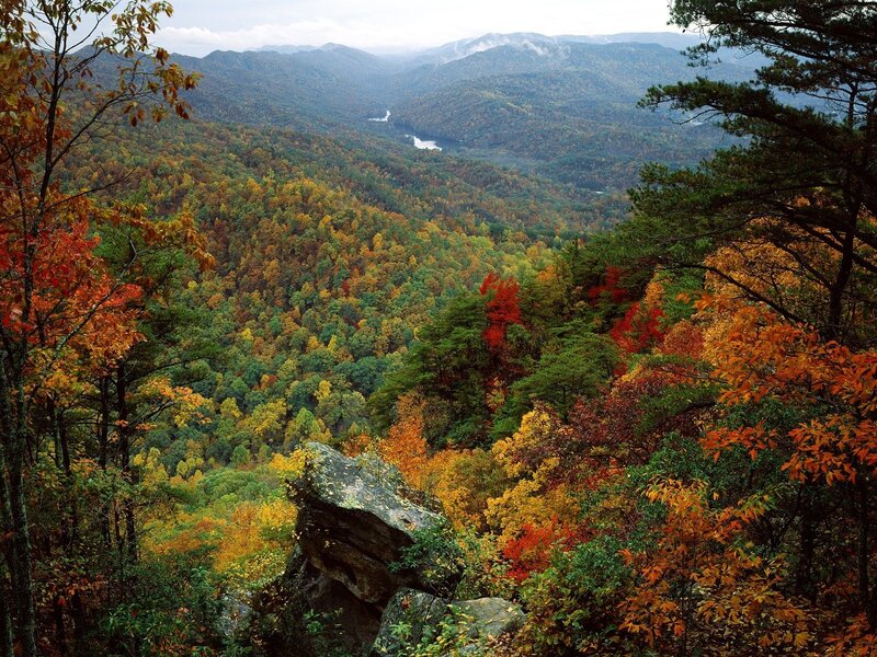 Autumn forest valley view